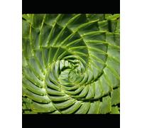 College Algebra Workbook