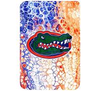 College Covers Everything Comfy Florida Gators Color Swept Soft Throw Blanket, 42" x 60"