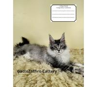 College Ruled Composition Notebook 7.5x9.25: 120 pages: Maine Coon kittens