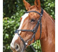 Collegiate ComFiTec Grackle Bridle Black - Cob