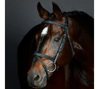 Collegiate Comfitec Opulux Fancy Stitch Padded Hanoverian Bridle - Horse Bridles - Black - Size: Pony