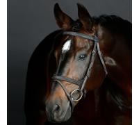 Collegiate Comfitec Opulux Fancy Stitch Padded Hanoverian Bridle - Horse Bridles - Dark Brown - Size: Full