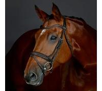 Collegiate Comfitec Opulux Plain Padded Flash Bridle - Horse Bridles - Dark Brown - Size: Cob