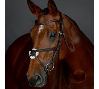 Collegiate ComFiTec Opulux Plain Padded Grackle Bridle, Dark Brown, Cob