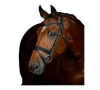 Collegiate ComFiTec Opulux Plain Padded Hanoverian Flash Bridle, Black, Cob