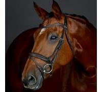 Collegiate ComFiTec Opulux Plain Padded Hanoverian Flash Bridle, Dark Brown, Full