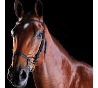 WeatherBeeta Training Bridle - Collegiate ComFiTec - Brown - Pony
