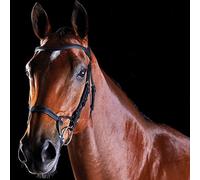 Collegiate ComFiTec Training Bridle, Black, Cob
