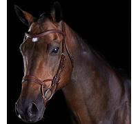 Collegiate ComFiTec Training Bridle, Brown, Cob
