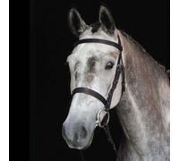 Collegiate Hunt Cavesson Bridle IV - Black - Cob