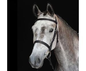 Collegiate Hunt Cavesson Bridle IV - Black - Full