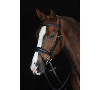 Collegiate Mono Crown Padded Raised Flash Bridle