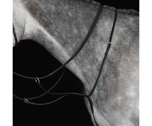 Collegiate Running Martingale IV - Black - Pony