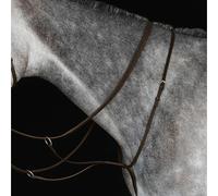 WeatherBeeta Running Martingale Collegiate IV – Brown – Cob