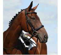 Collegiate Syntovi Padded Raised Cavesson Bridle - Black - Warmblood