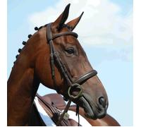 WeatherBeeta Bridle Collegiate Syntovia+ Padded Raised Cavesson - Brown Cob