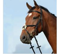 Collegiate Syntovi Padded Raised Figure 8 Bridle - Black - Full