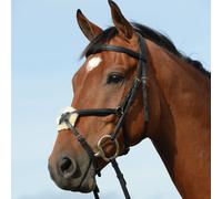 Riding bridles, raised, padded, shape 8 Weatherbeeta Collegiate Syntovi
