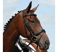 Collegiate Syntovia+ Raised Padded Flash Bridle