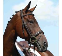 Collegiate Syntovia+ Padded Raised Flash Bridle - Brown - Cob