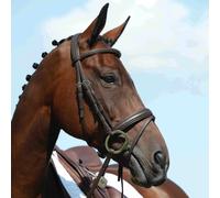 Collegiate Syntovi Padded Raised Flash Black Bridle - Pony