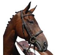 Collegiate Syntovi Padded Raised Cavesson Bridle, Brown, Cob