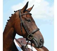 Collegiate Syntovia+ Padded Raised Cavesson Bridle, Brown, Pony