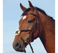 Collegiate Syntovia+ Padded Raised Figure 8 Bridle - Horse Bridles - Brown - Size: Extra Full