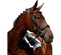 Collegiate Syntovia+ Padded Raised Flash Bridle - Brown - Full