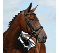 Collegiate Syntovia+ Padded Raised Flash Bridle - Horse Bridles - Black - Size: Pony