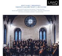 Collegium Musicum Choir & Orchestra; Soloists - Knut Vaage: Hogsongen / Ars Vivendi