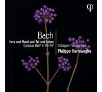 Collegium Vocale Gent; Philippe Herreweghe - Herz und Mund und Tat und Leben - Bach:Cantatas BWV6-99-147