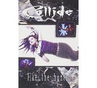 Collide: Like the Hunted [DVD] [2007] [NTSC]