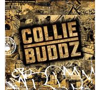 Collie Buddz