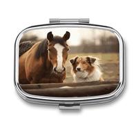 Collie Dog and Horse Together Pill Box Pill Organizer Pill Case 2 Compartment Medicine Pill Organizer Small Pill Case Pill Container Pill Holder Cute Pill Box Mini Pill Case