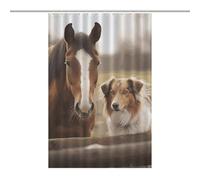 Collie Dog And Horse Together Shower Curtains for Bathroom Lightweight Waterproof Washable Fabric Shower Curtains Boho Shower Curtain Modern Farmhouse Extra Long Bath Curtain Set with 12 Hooks 48x72In
