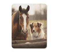 Collie Dog and Horse Together Small Mouse Pad Non-Slip Rubber Base Gaming Mouse Pad Texture Customized Mouse Mat for Computer Laptop Home Office 11.8"x9.8"