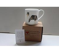 Collie Dog Fine Bone China Mug in Gift Box - Handmade in Stoke on Trent, England