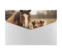 Collie Dog Horse Accordion File Organizer 6 Pocket Document Organizer Expanding File Folder Accordion Folder with Labels, Travel Document Folders Plastic Envelopes with Snap Closure 13x9.1 Inch