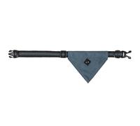 Collier pour chien collection avec bandana QHP