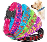 Collier Réfléchissant pour Chien, en Nylon Rembourré de Néoprène Souple avec Boucle à Libération Rapide, Brodé au Nom et au Numéro de Téléphone, Réglable pour Petits et Grands Chiens