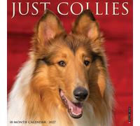 Willow Creek Press, Collies 2027 Wall Calendar