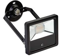 Collingwood 30W LED Tri-Colour Floodlight FL03BXCS