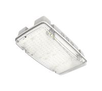Collingwood EMBMAXST Salvus Max High Output Emergency Bulkhead Self-Test, 6-10W, IP66