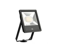 Collingwood Fl05Bxcs 50W Led Tri-Colour Floodlight Black