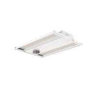 Collingwood LBR1V RackBay CSP 60-80-100W CCT Low Bay 8700-15000lm 0-10V Dimmable 3000K/4000K