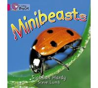 Collins Big Cat - Minibeasts: Band 01A/Pink A by Siobhan Hardy (2005-01-05)
