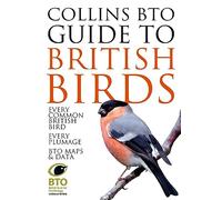 Collins BTO Guide to British Birds – Harper Collins Publishers