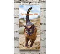 Collins Cat Calendar 2022-390x180mm Wiro Wall Calendar