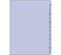 Collins Desk January-December Year Diary Refill Insert Tabs DK1010